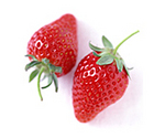 fraise.jpg