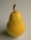 poire.jpg